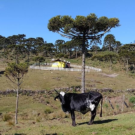 Casa de Temporada Fazenda Borba Urubici Exterior foto