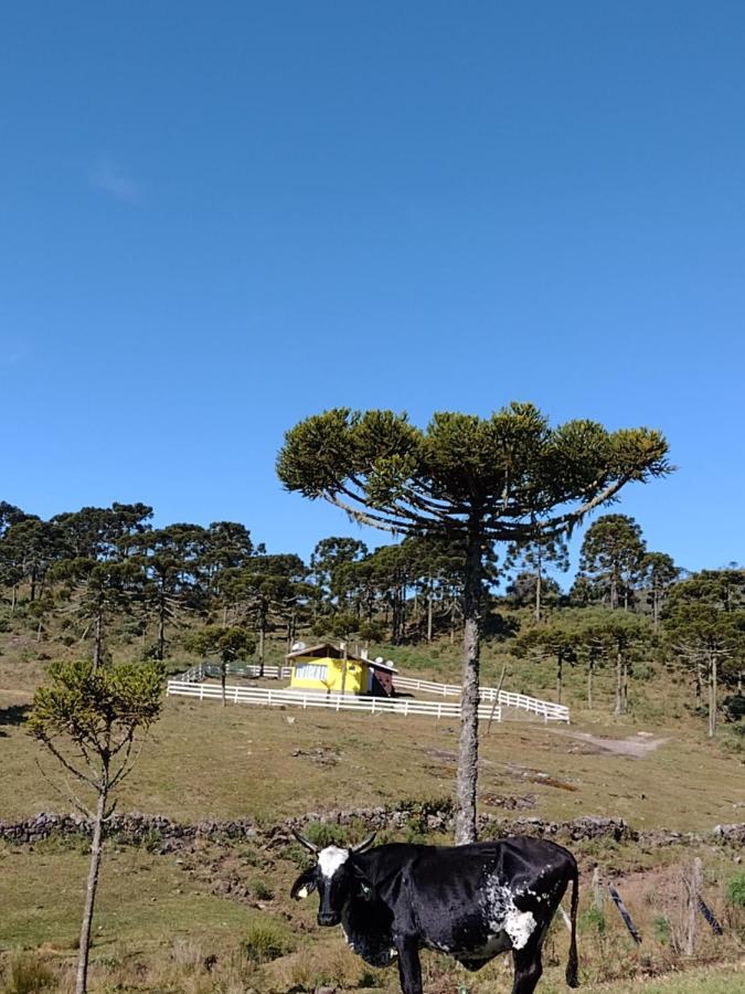 Casa de Temporada Fazenda Borba Urubici Exterior foto