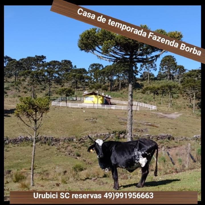 Casa de Temporada Fazenda Borba Urubici Exterior foto