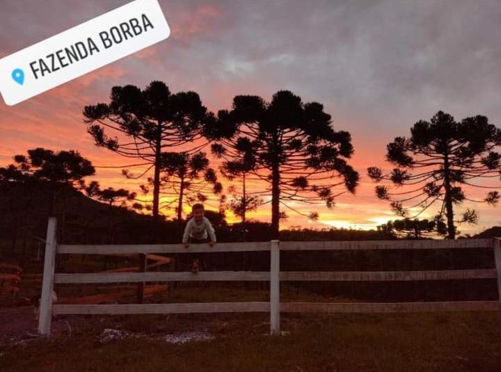 Casa de Temporada Fazenda Borba Urubici Exterior foto
