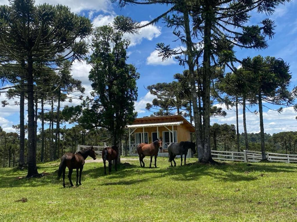 Casa de Temporada Fazenda Borba Urubici Exterior foto