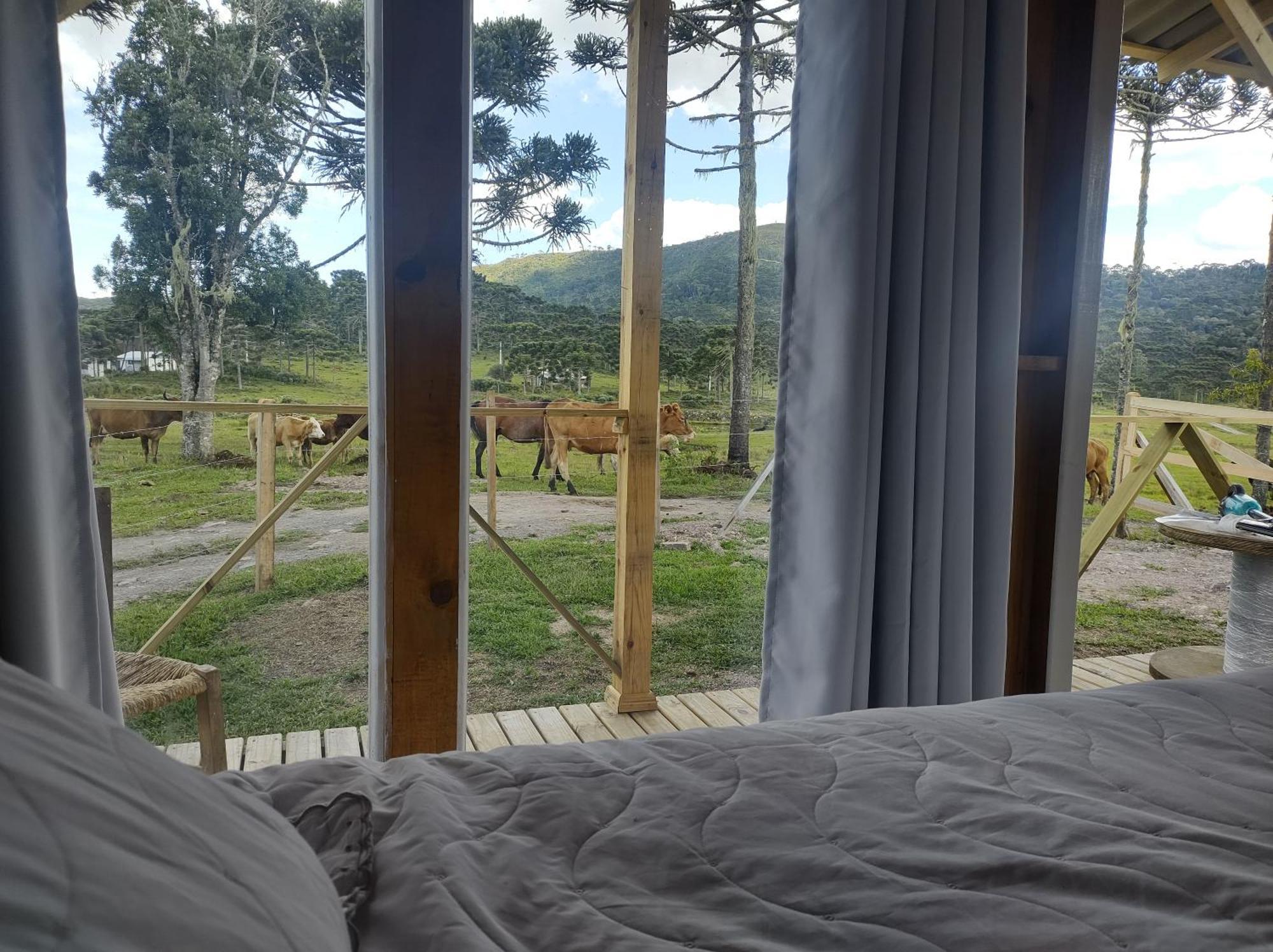 Casa de Temporada Fazenda Borba Urubici Quarto foto